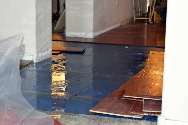 Professional Water Damage Restoration technician working in Cambridge, NE